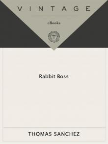 Rabbit Boss Read online