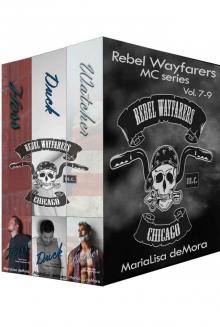 Rebel Wayfarers MC Boxset 3 Read online