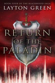 Return of the Paladin Read online