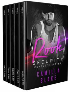 Rook Security Complete Series Read online