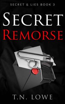 Secret Remorse Read online