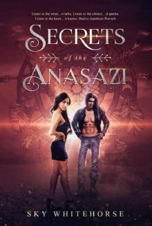 Secrets of the Anasazi