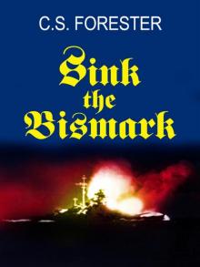Sink the Bismarck! Read online