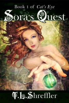 Sora's Quest (Cat's Eye #1) Read online