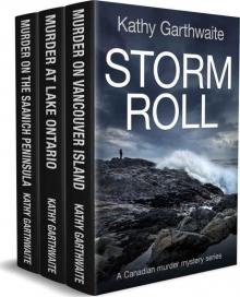 STORM ROLL: a Canadian murder mystery series Read online