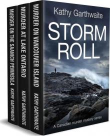 STORM ROLL: a Canadian murder mystery series