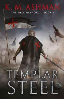 Templar Steel Read online