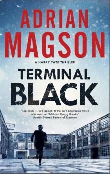 Terminal Black Read online