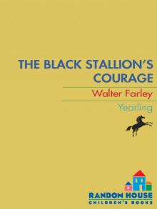 The Black Stallion's Courage Read online