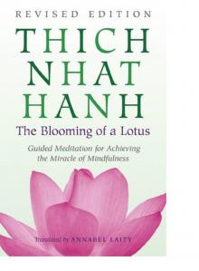 The Blooming of a Lotus Read online