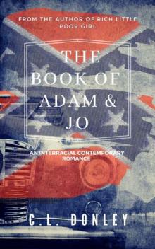 The Book of Adam and Jo: an Interracial Literary Romance Read online