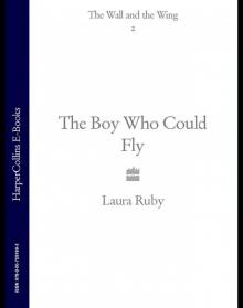 The Boy Who Could Fly Read online
