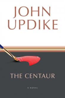 The Centaur: A Novel Read online