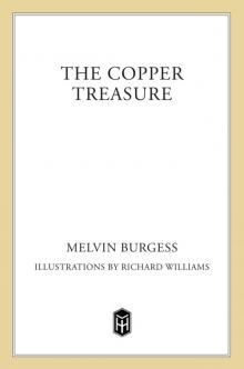 The Copper Treasure Read online