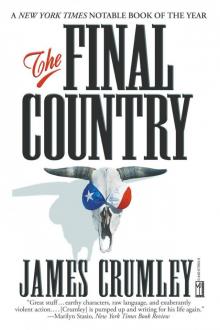 The Final Country Read online