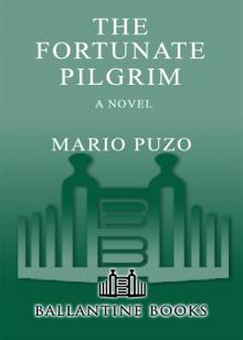 The Fortunate Pilgrim Read online