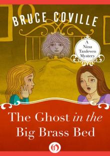 The Ghost in the Big Brass Bed Read online