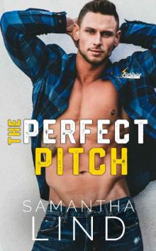 The Perfect Pitch (Indianapolis Lightning Book 1) Read online