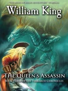 The Queen's Assassin Read online