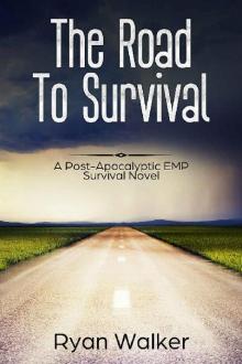 The Road to Survival : A Post Apocalyptic EMP Survival Novel