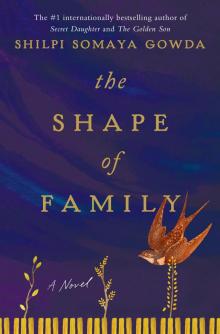 The Shape of Family Read online