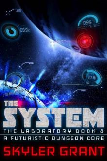 The System Read online