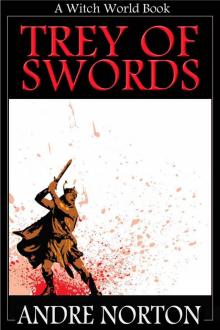 Trey of Swords (Witch World (Estcarp Series))
