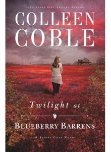 Twilight at Blueberry Barrens Read online