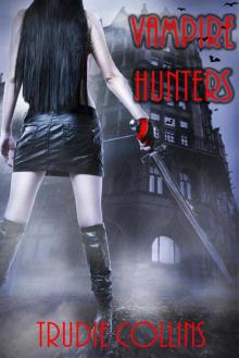 Vampire Hunters, #1 Read online