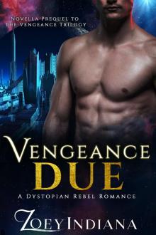 Vengeance Due--A Dystopian Rebel Romance Read online