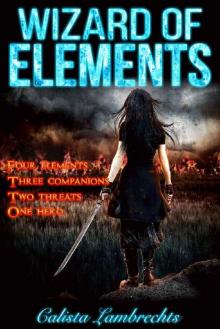 Wizard of Elements Read online