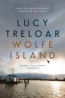 Wolfe Island Read online