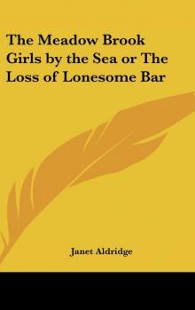 The Meadow-Brook Girls by the Sea; Or, The Loss of The Lonesome Bar Read online