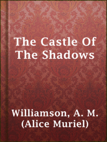 The Castle Of The Shadows Read online
