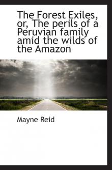 The Forest Exiles: The Perils of a Peruvian Family in the Wilds of the Amazon Read online