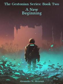 A New Beginning Read online