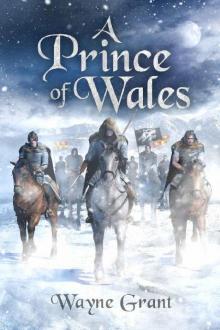 A Prince of Wales Read online