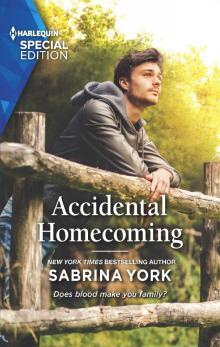 Accidental Homecoming Read online