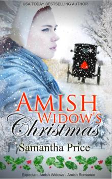 Amish Widow's Christmas Read online