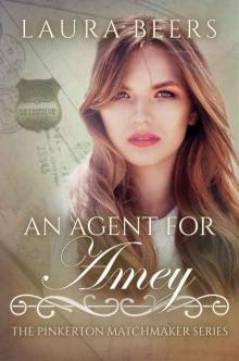 An Agent for Amey Read online