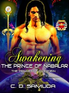 Awakening: The Prince of Nabalar (The Princes of Uvieroein Book 1)