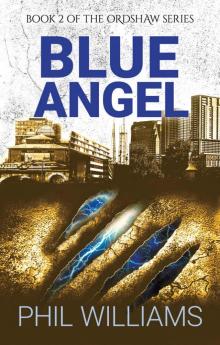 Blue Angel Read online