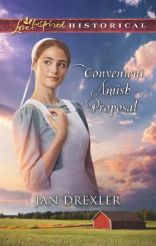 Convenient Amish Proposal Read online