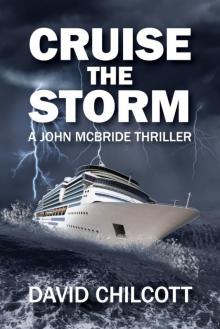 Cruise the Storm Read online