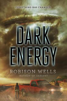 Dark Energy Read online