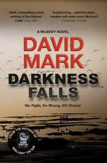 Darkness Falls - DS Aector McAvoy Series 0.5 (2020) Read online