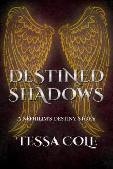 Destined Shadows Read online