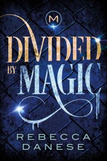 Divided by Magic Read online