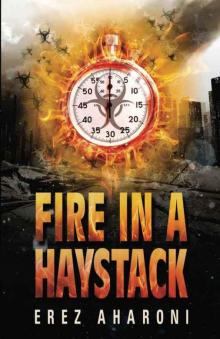 Fire in a Haystack: A Thrilling Novel