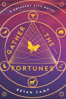 Gather the Fortunes Read online